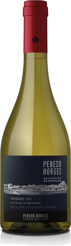 Penedo Borges Selecc Parcelas Chardonnay