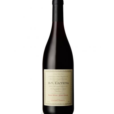 DV PINOT