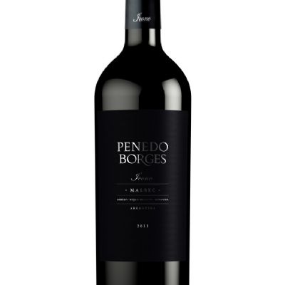PENEDO BORGES ICONO